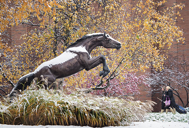 Outdoor photo bronco statue in the snow